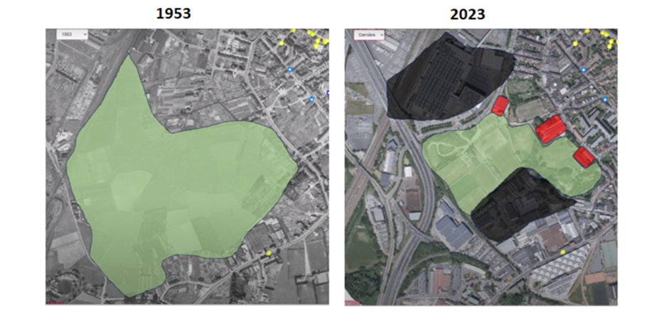 Bempt_1953-2023.png